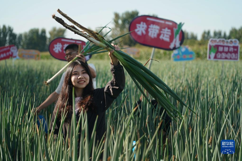 金濠国际平台网址